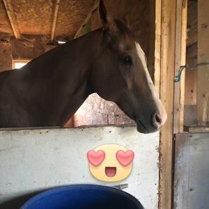 Meet your Posher, Julissa